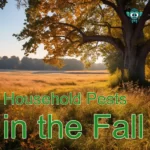 household pest invasion in the fall, late august